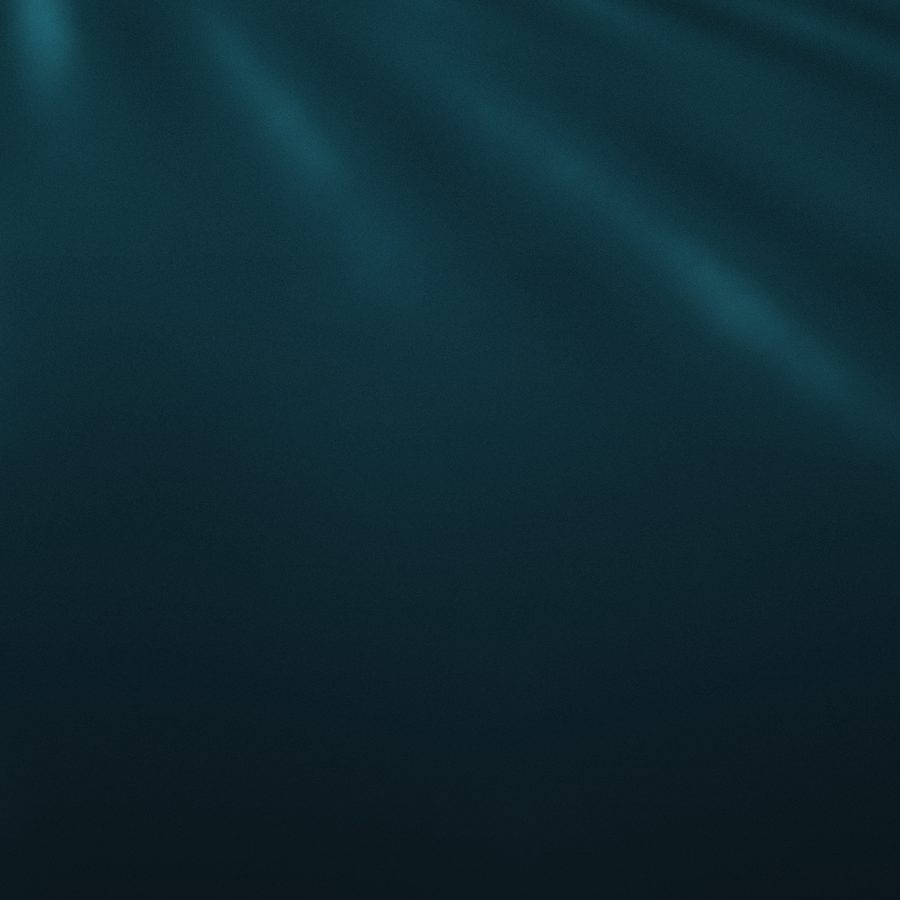 Snook — placeholder imagery